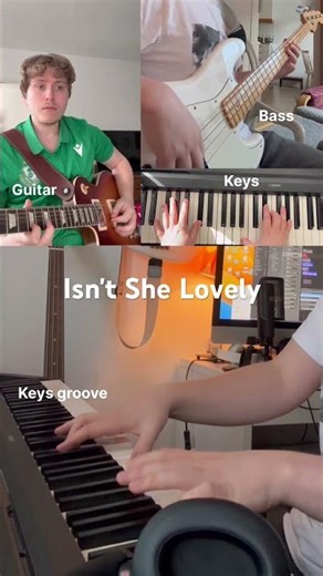 Stevie Wonder - Isn't She Lovely (instrumental cover)