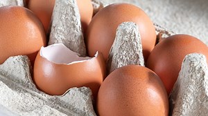 Don’t Put Eggshells Back in the Carton—Here’s Why