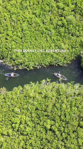 4.5K views · 66 reactions | Add this clear kayak tour in the Florida Keys to the top of your 2024 bucket list! 朗 | Get Up And Go Kayaking | Facebook
