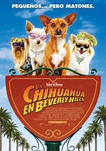 Un chihuahua en Beverly Hills - Película - 2008 - Crítica | Reparto | Estreno | Duración | Sinopsis | Premios - decine21.com