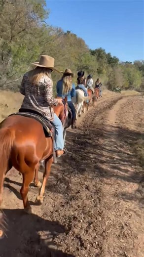 15 reactions | 1st Choice Realty’s women’s group last week went horseback riding together to spend some good bonding time outside of the office and daily real estate work. 1st Choice Realty takes pride in sponsoring events along with Dalia from New Fed Mortgage sponsoring and coordinating this event for us. We appreciate you! 﫶  鸞 | 1st Choice Realty | Facebook