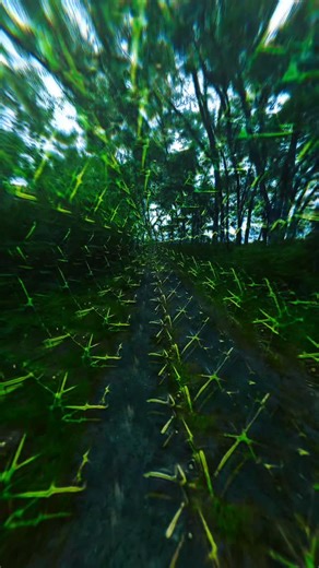 loka on Instagram: "vision"