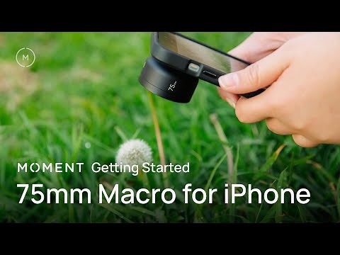 Moment Mobile 75mm Macro Lens (Getting Started Guide)