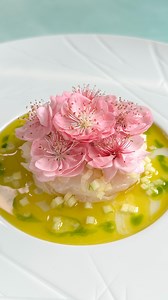 🇬🇧 Scorpion fish ceviche my way 🌸 🇮🇹 Ceviche di scorfano a modo mio 🌸 . 👇🏻Recipe x 2 people/ Ricetta x 2 persone 👇🏻 🇬🇧 • For the scorpion fish: 1 blast chilled scorpion fish 👉🏻 Fillet the fish and remove the bones (you can keep the heads and remaining part for make a nice stock) and slice the meat of each fillet at 45° knife angle as you can see in in the video. Plate up the slices helping yourself with a metal ring. • For the apple ceviche dressing: Juice from 1 lime 4 spoons extr