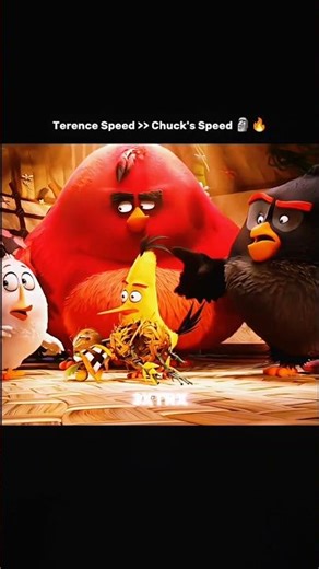 Terence Speed vs Chuck 😈🔥 | Who’s Faster? | Angry Birds Edit #shorts