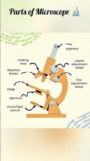 Parts of Microscope 🔬