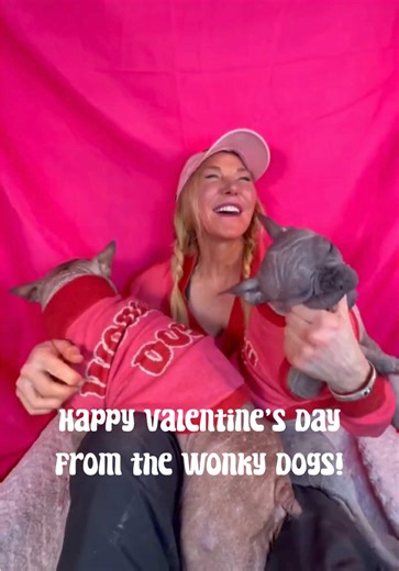 ❤️ Valentine’s Day outfits, but make it Wonky! 🐾 Whose is your favorite? 💌 #TheWonkyDogs #RescuePack #PerfectlyImperfect #AdoptDontShop #SpecialNeedsDogs
