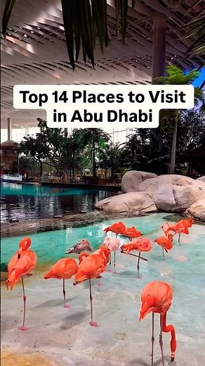Top 14 Places You MUST Visit in Abu Dhabi! 🇦🇪 | Best Abu Dhabi Travel Guide 2026