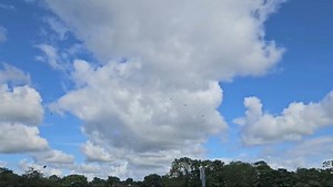 36K views · 429 reactions | Hundreds gathered in Darlington this afternoon to commemorate 10-year-old Leah Harrison who tragically died after an accident on a school trip last week. RIP Leah  | The Northern Echo | Facebook