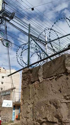 Green electric fencing鷺 is the best | The Practical Wiring Installations Services. | Facebook