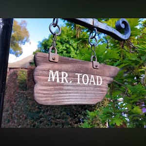SAB_Toad - Twitch