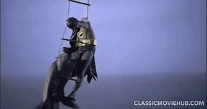 204K views · 1.3K reactions | Happy (?) Shark Awareness Day :) | Classic Movie Hub | Facebook