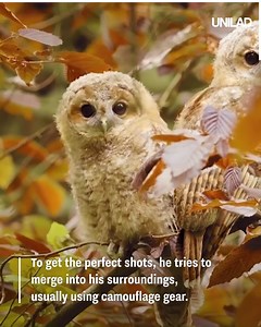 784K views · 5.4K reactions | This 19-year-old has some incredible dedication when it comes to getting the perfect wildlife shot 力 | UNILAD | Facebook