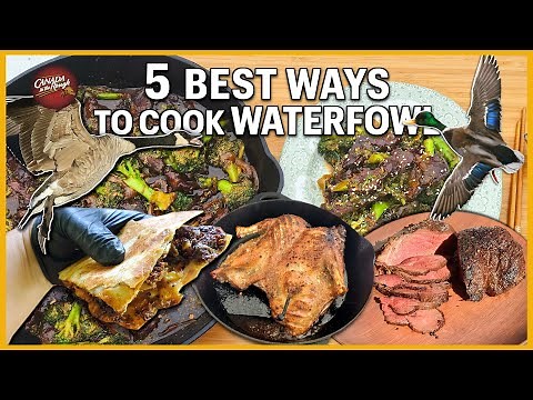The 5 Best Ways to Clean & Cook Duck & Goose | Rough Cooking Recipe (HOW TO Compilation)