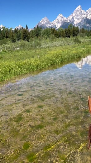 A Day in the Life of Wyoming Cowboys at Diamond Cross Ranch