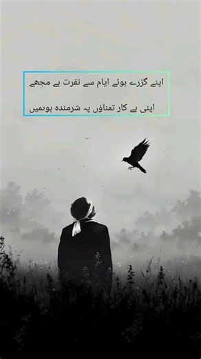 “Deep Words, Silent Feelings” #shortvideo #poetry #emotional #shortvideo #deeplines #deepqoutes