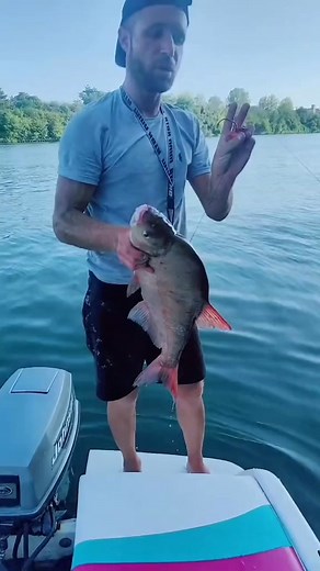 22K views · 95 reactions | rediffusion du live | Allan Glane Show | Facebook