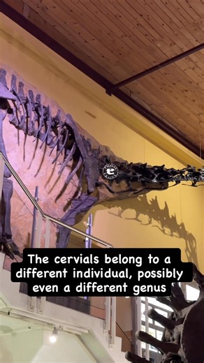 8.6K views · 344 reactions | Two specimens, one cool mount! The...