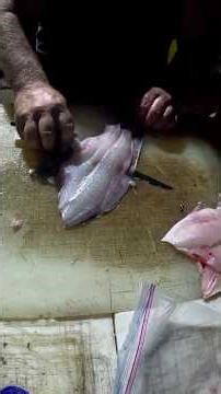 How to clean a Flounder with my buddy Bean!!!