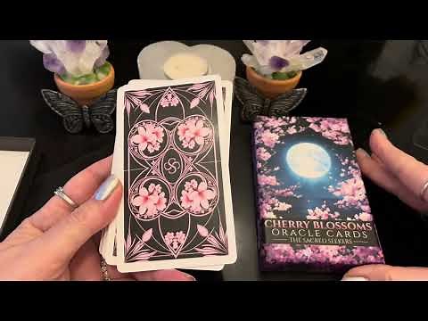 The Sacred Seekers-Cherry Blossoms Oracle Cards-New Release!-Close Up Review Plus Bonus Reading!