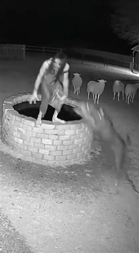 Pitbull vs Creepy Creature | Something Crawls Out of a Well at Night | CCTV