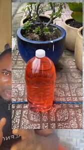 One of the best techniques of lifting a bottle of oil. #creativity #lifting #handmade | Chika Eze