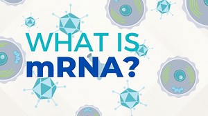 What is an mRNA vaccine and why is it so groundbreaking?