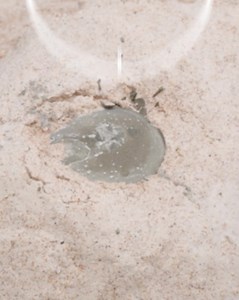 17K views · 27 reactions | Easy DIY Garden Decorations From Cement | Creative Ideas | Facebook