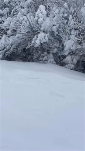 Japan or Ja-Rangeley? Well, after 65” since the new year and 8” in the last two days, today’s turns had us double-checking the map! Conditions are all-time right now, so what are you waiting for? | SADDLEBACK MAINE