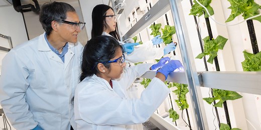 Research at the College of Engineering