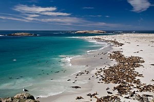 San Miguel Island - Island of the Blue Dolphins (U.S. National Park Service)