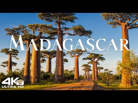 Wonders of Madagascar - The Most Amazing Places in Madagascar - 4K