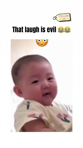 Hilarious Funny Videos Compilation 2023