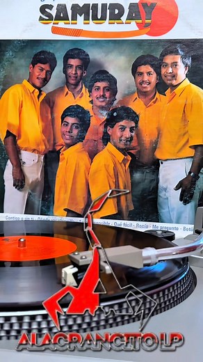 # Samuray botón de rosa 🌹Lp #1990 audio directo del vinilo | Alacrancito LP Lp