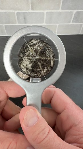 817K views · 272 reactions | Black Egg vs Egg Slicer #satisfying #asmr #fblifestyle #foodie | Fast Easy Hacks | Facebook