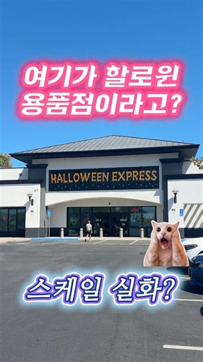 여기가 그냥 할로윈 용품점이라고? 🎃 미국 Halloween Express