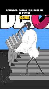 40K views · 2.7K reactions | Cardio is a pyramid scheme. Stay woke. #weightlifter #cartoonedits #gymhumor #gymmeme #gymmotivation | Bench Chicken | Facebook