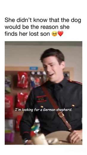 memes and movies account on Instagram: "then the boy’s mom was the lady from the shelter 😭 🎥 rescued by ruby: Ruby had an awful lot of energy. Her original owner surrendered her to the Rhode Island Society for the Prevention of Cruelty to Animals because of her generally “unmanageable” personality. The cute pup was quickly adopted and then returned - five times. Things were looking pretty grim for the border collie/Australian shepherd mix. Hours away from being euthanized, officer Daniel O’Nei