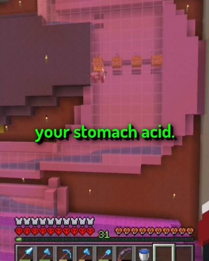 My Human Digestive System I Made In Hardcore Minecraft! | #shorts #minecraft #biology #humananatomy