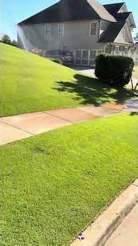 Zoysia Surgery is Complete... ⛳️ #golfcourselawn