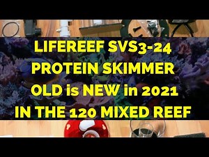 LIFEREEF SVS3-24 PROTEIN SKIMMER (OLD IS NEW IN 2021, IN THE 120 MIXED REEF)