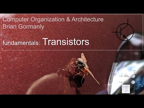 Transistors (What are they?): How a Computer Processor Works
