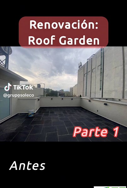 Crea tu oasis verde con un roof garden innovador