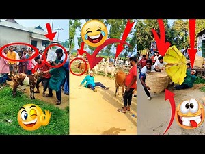 Unplanned Comedy Moments – Instant Laughs! 😂 #funny #comedy #prank #entertainment #epic