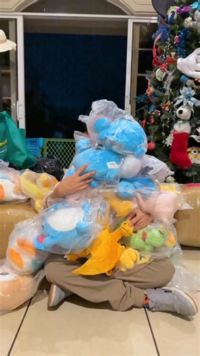 A partir de mañana llevaremos a pokemon como Charizard, Treecko, Wartortle, Bulbasaur, Charmaleon, Mew, Ekans, Dratini, Rowlet y muchos más 🙌 | Click Box