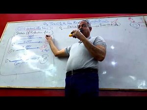 O2 Toxicity and Free Radicals