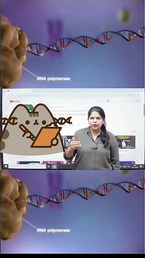 Translation vs Transcription | NEET Biology Class 11 | Difference in 60 Seconds