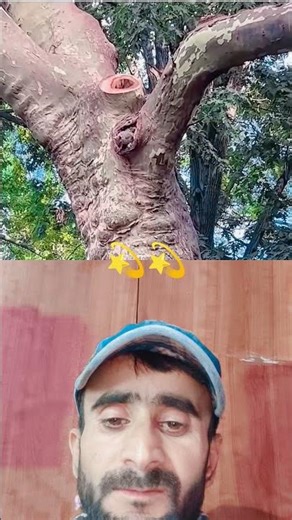 This Man Shares A Nut With A Wild Squirrel #squirrel#wildlife.