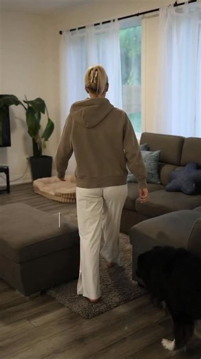 I thought my Border Collie was just getting older… until he stopped climbing the stairs😔 What I didn’t know about joint supplements almost cost me my best friend — here are 5 things I wish I’d known sooner to keep my high-energy dog thriving. The vet told me his mobility might just be slowing down with age😔 That moment hit me hard since he’s only 5 — this was my zoomie-loving, frisbee-chasing shadow who never wanted to miss a second by my side. After a deep dive into joint health, I realized h