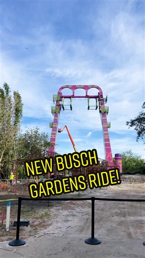 Serengeti Flyer: World's Tallest Screamin' Swing at Busch Gardens Tampa